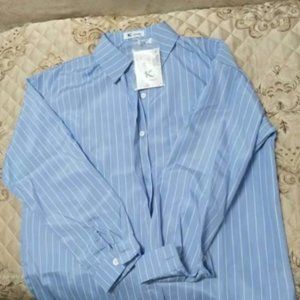 Blue Stripe Shirt Coat Women's Spring/fall Design Niche shirt 2021 New long-slee